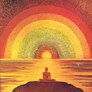 Meet your Posher, Elisabeth